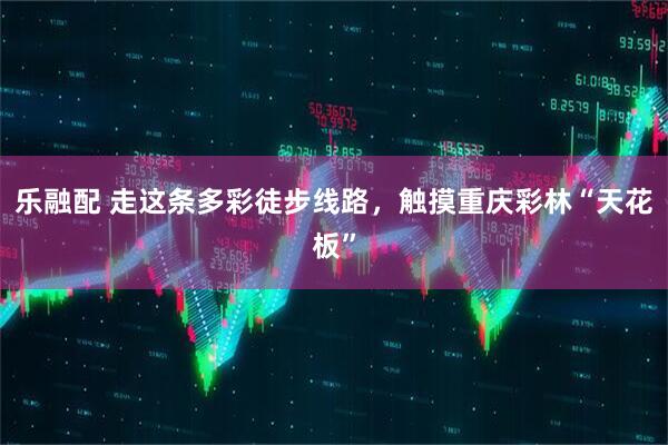 乐融配 走这条多彩徒步线路，触摸重庆彩林“天花板”